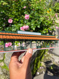 COLOR HO Scale Detailed Miniature World Main Street Victorian Station Platform 12 inches